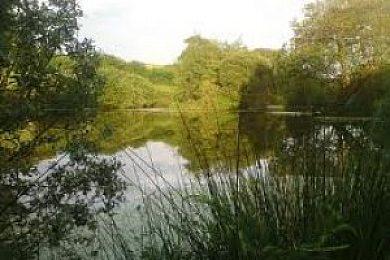 Mellonwatts Mill Fishery - Image 1