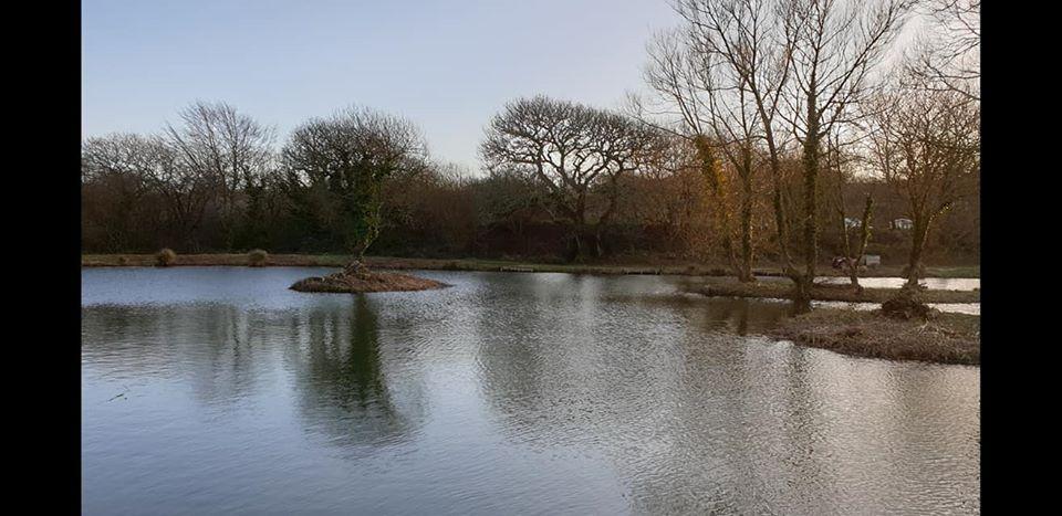 White Acres Fisheries - Image 2