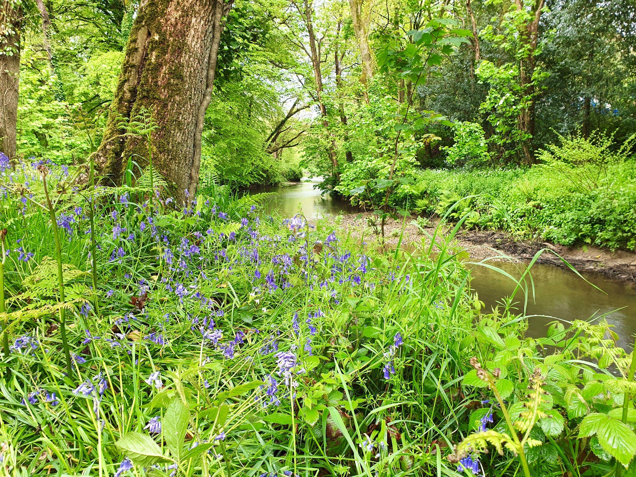 Butterwell Farm Holiday Cottages, B&B & Fishing - Image 1