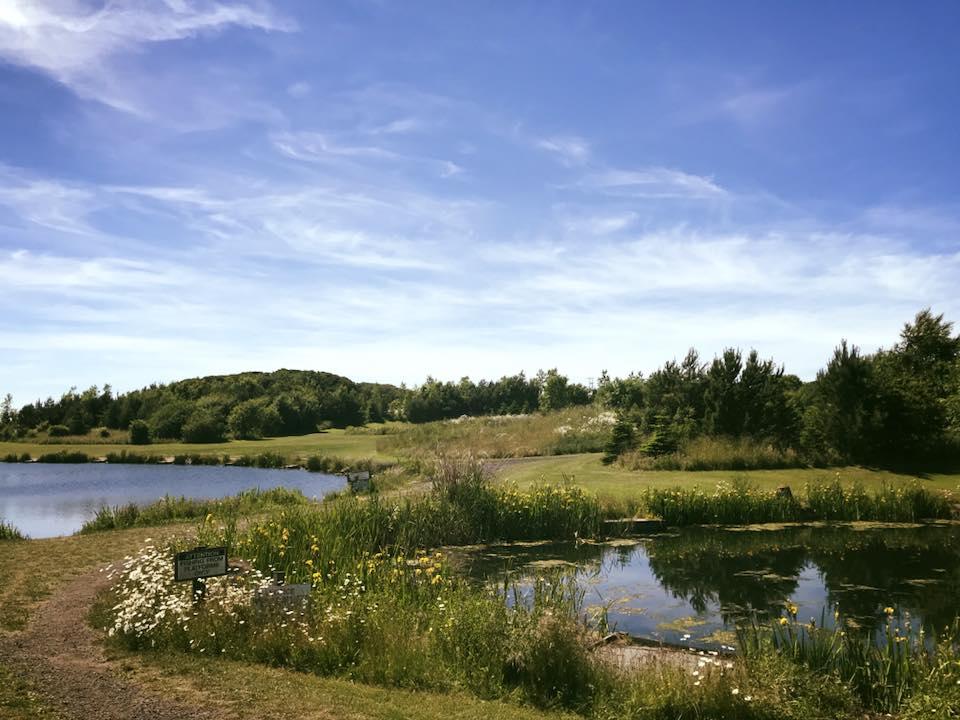 Sharpley Springs Fly Fishery - Image 2