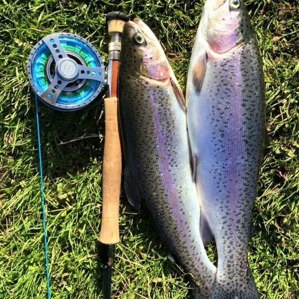 Sharpley Springs Fly Fishery - Image 3