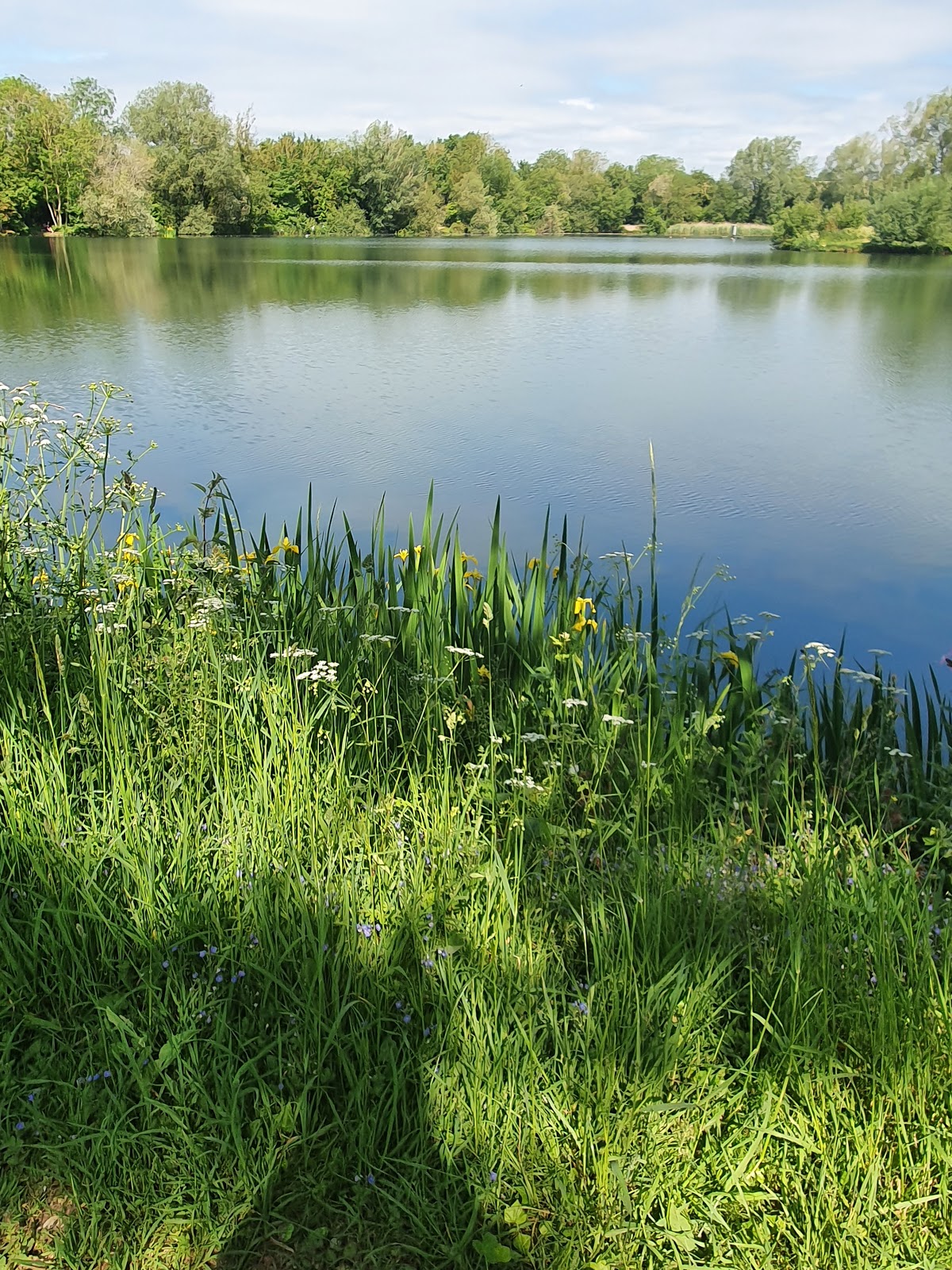 Ham Pool Lake - Image 1