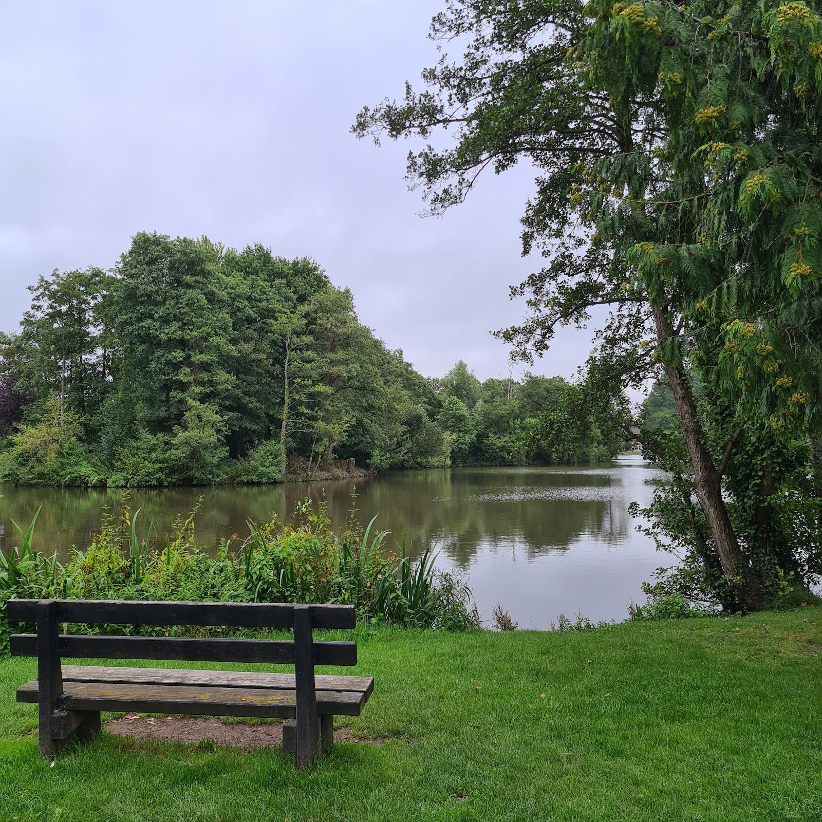 Lydney Lake - Image 2