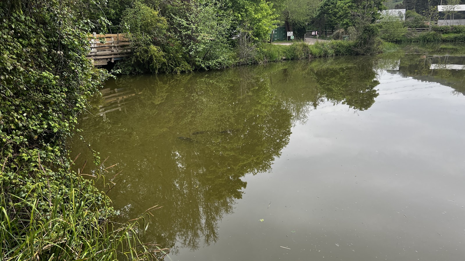 Burley Fields Lake - Image 2
