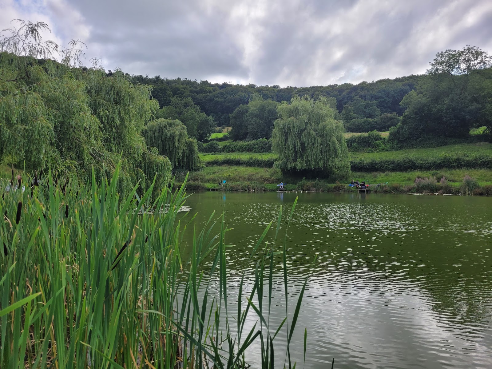 Harescombe Fishery - Image 1
