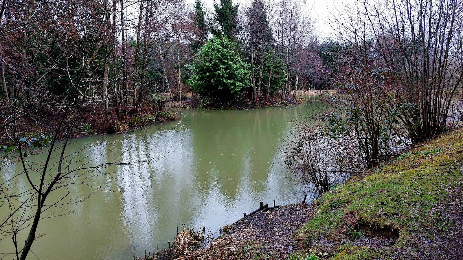 Wellfield Pools Fishery and Holidays - Image 1