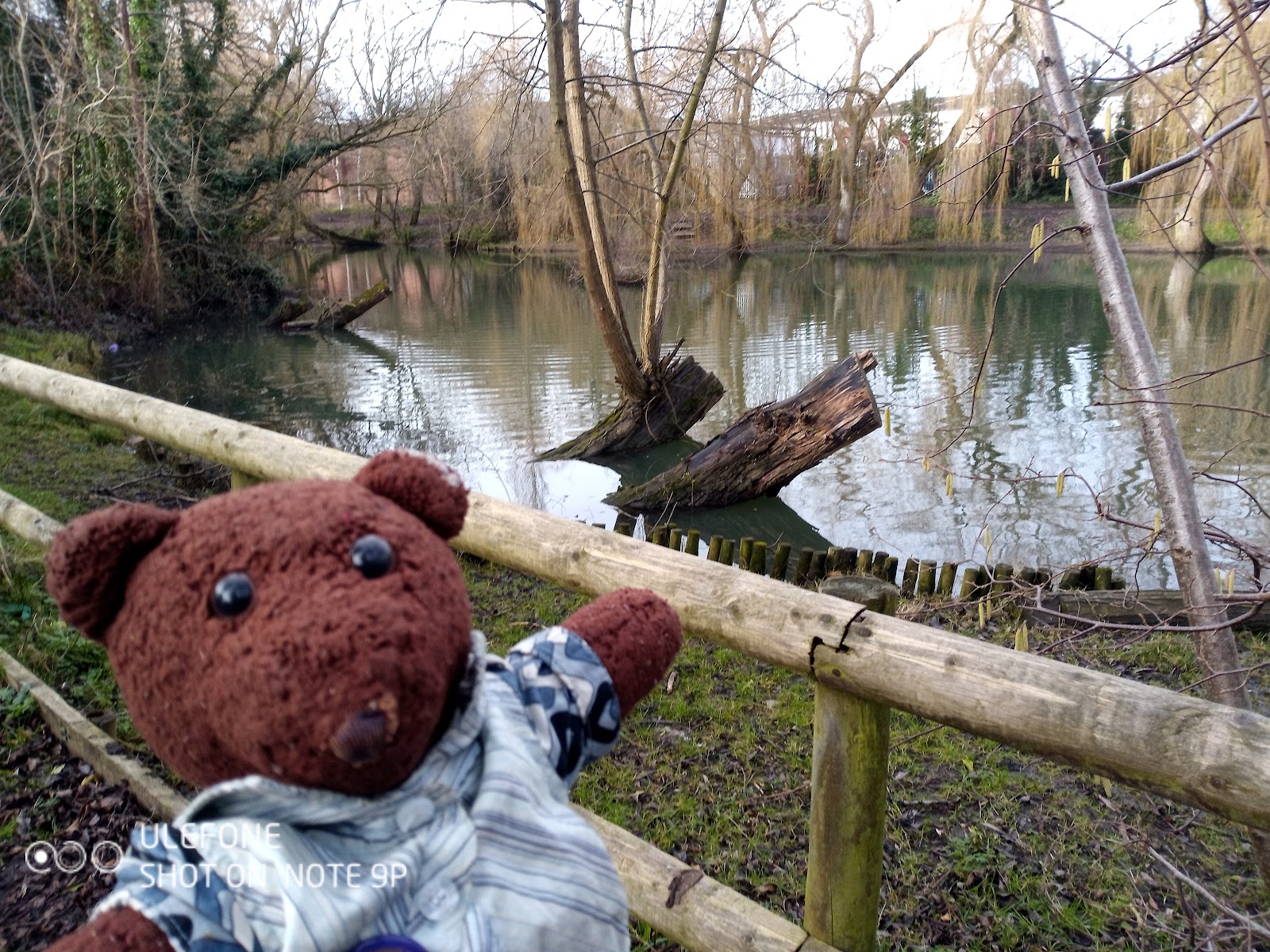 Broad Colney Lakes Nature Reserve - Image 1