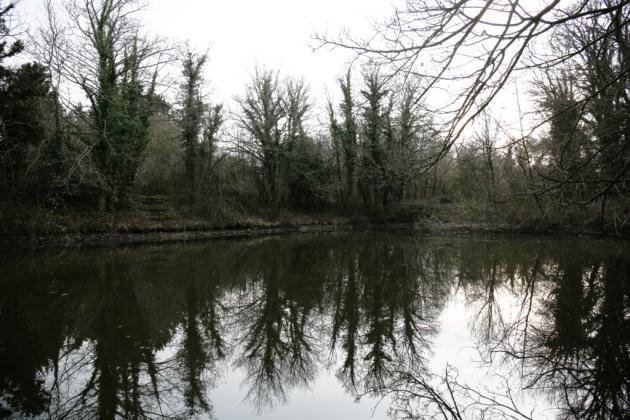 Broad Colney Lakes Nature Reserve - Image 2